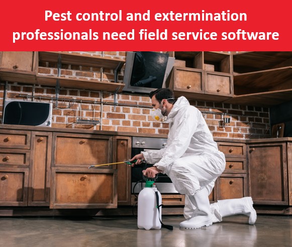 Pest Control Coquitlam Bc